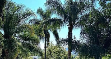 hospedaje casa teotleco