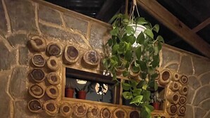 Una chimenea de piedra con una escalera de madera y una planta colgante.