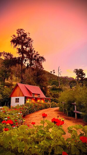 Une maison de campagne au toit rouge, entourée d’une végétation luxuriante et de plantes en fleurs.