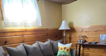 Basement
apt near skiing and Weber State University