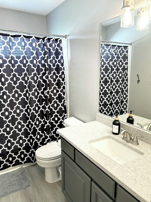 Hair dryer, bidet, towels, soap