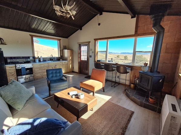 Smart TV, fireplace - Tranquil 2-bedroom cabin, majestic view of Pikes Peak with free range Buffalo. (Hartsel)