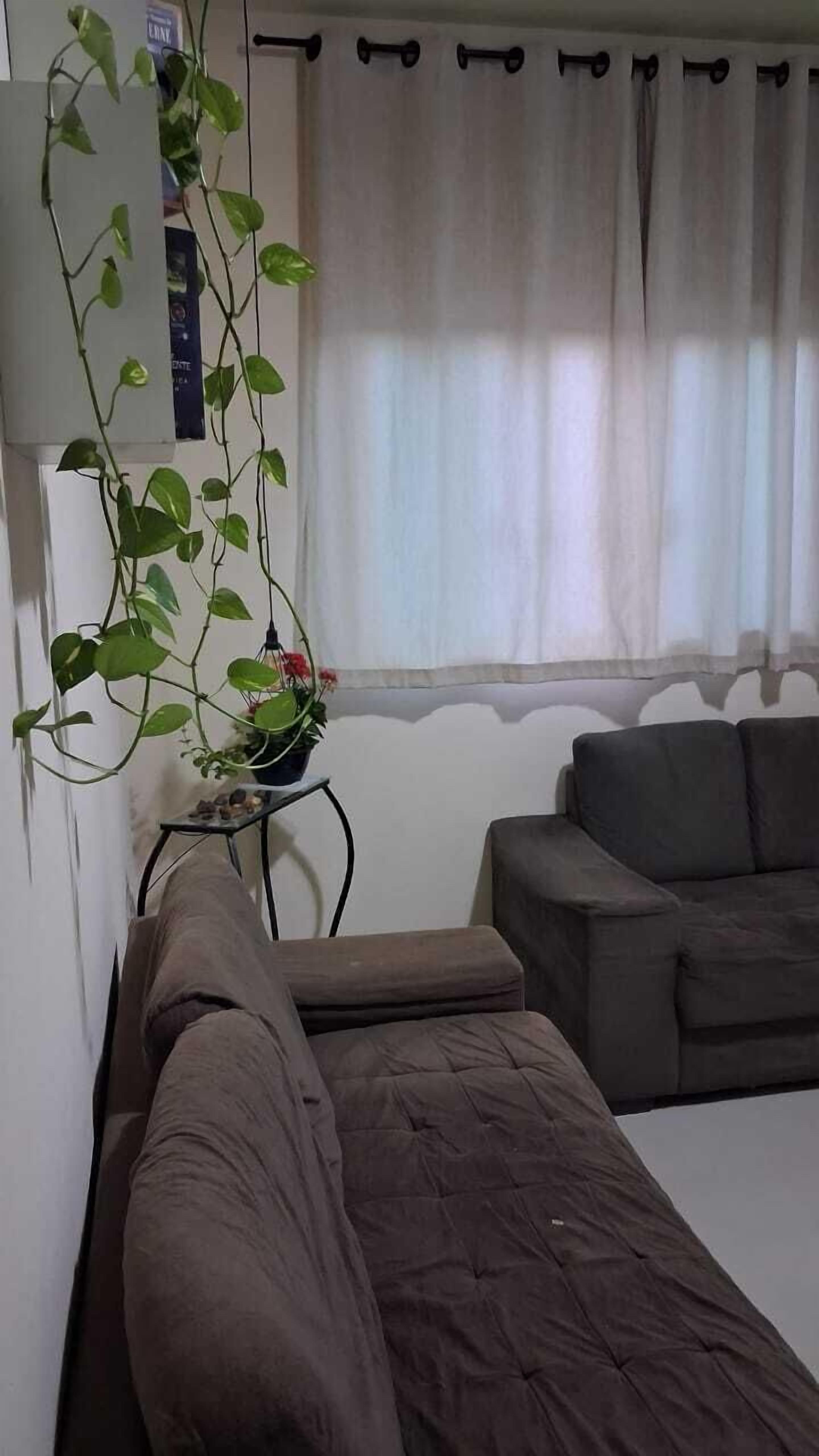 A room with a bed, a grey sofa, a small table with a plant, and a window with curtains.