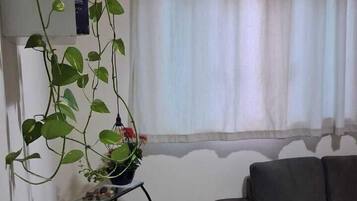 A room with a bed, a grey sofa, a small table with a plant, and a window with curtains.