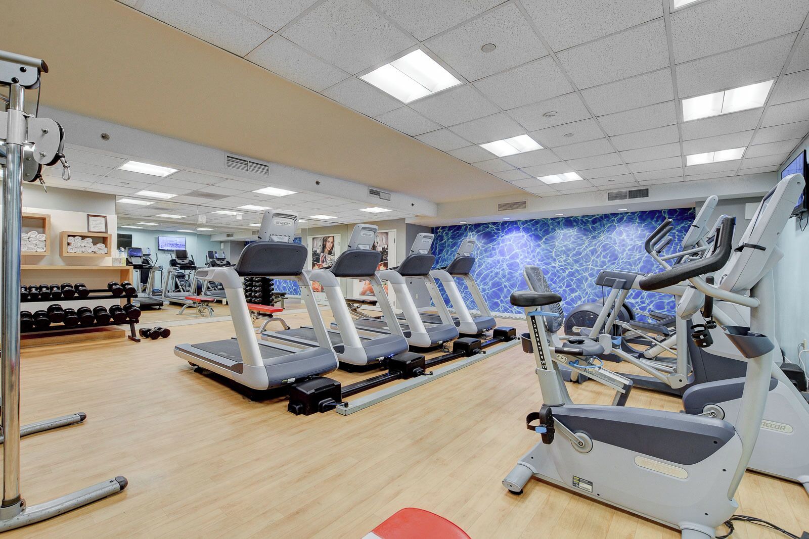 A gym with treadmills, elliptical machines, and free weights.