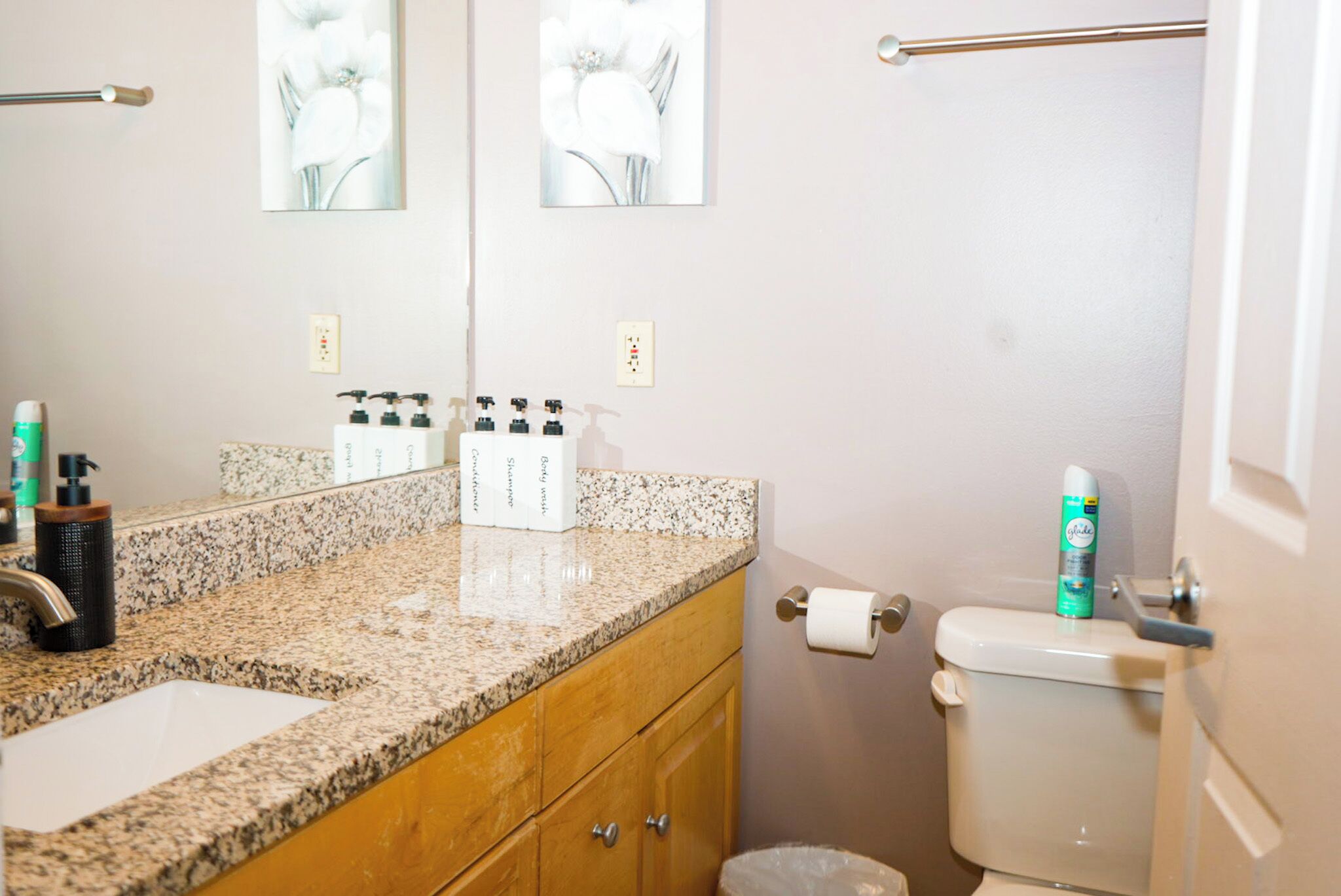 Haartrockner, Handtücher, Seife, Shampoo