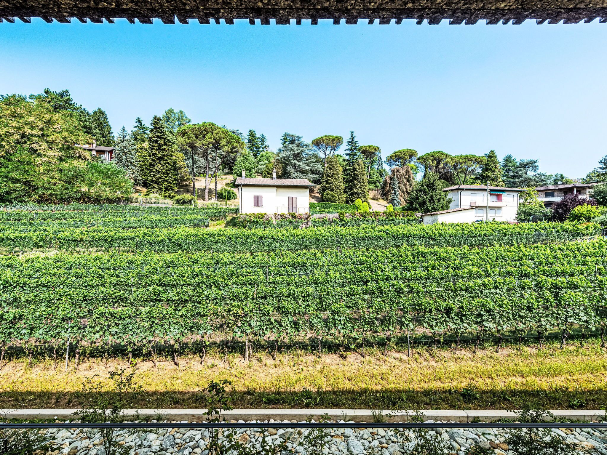 Jardines del alojamiento