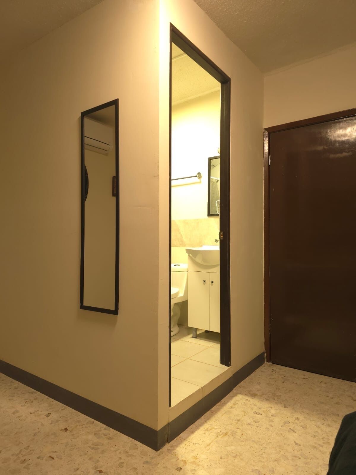 Un pasillo con un espejo, una puerta y un baño visible a través del espejo.
