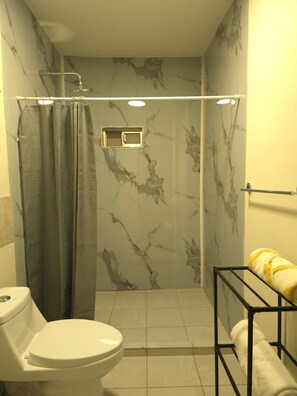 Regadera, secadora de cabello, toallas, jabón 