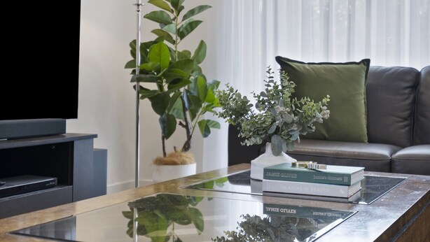 Una sala moderna con un televisor de pantalla plana, una mesa de centro de vidrio, una planta en maceta, un sofá con un cojín verde y una estantería llena de libros.