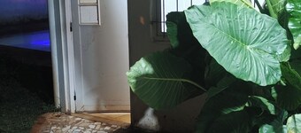 Starlink apartment, furnished, 4 to 6 persons, commercial area