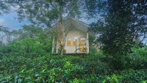 Ảnh chưa phân loại, 2 trong số 41 ảnh, nút