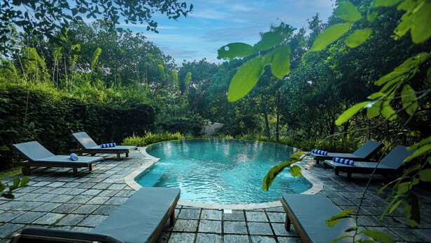 Ảnh chưa phân loại, 1 trong số 41 ảnh, nút