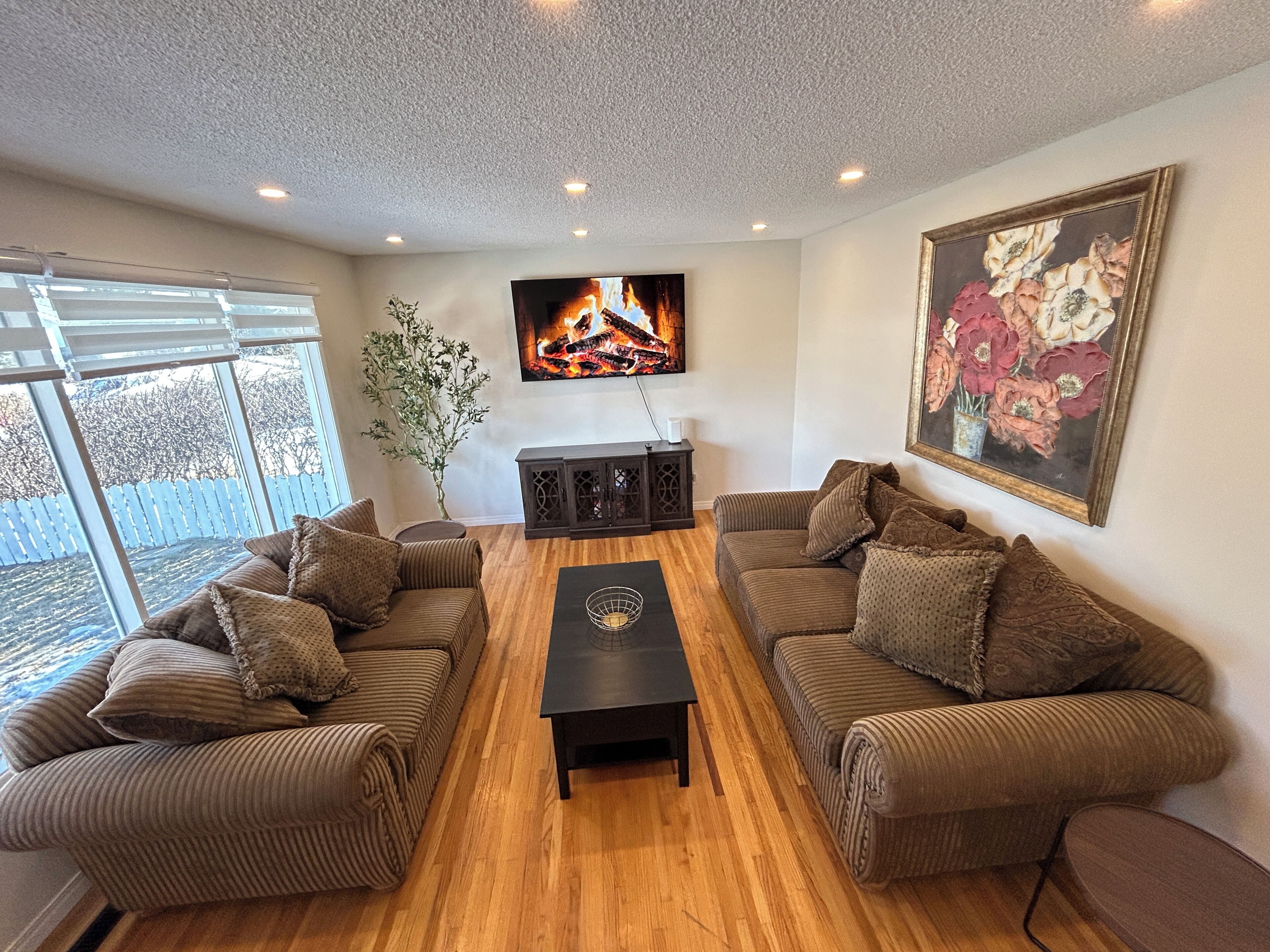 智能電視、書籍