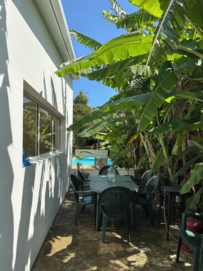 Um pátio com piscina, rodeado por bananeiras exuberantes e um edifício branco.