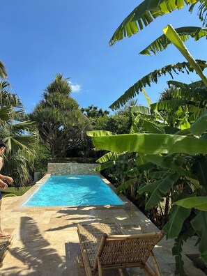 Piscina rodeada por folhagem tropical, um muro de pedra e uma cadeira de madeira.