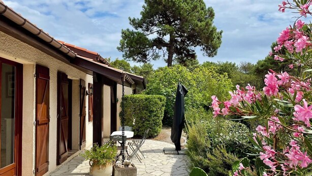 Une cour dallée de pierres, avec un grand arbre, une plante en pot et une chaise en métal.