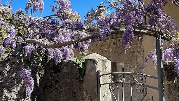 A wrought iron gate with intricate designs, a stone wall, and purple wisteria flowers. - Charming house with direct view of Sainte Victoire and Picasso castle. (Vauvenargues)