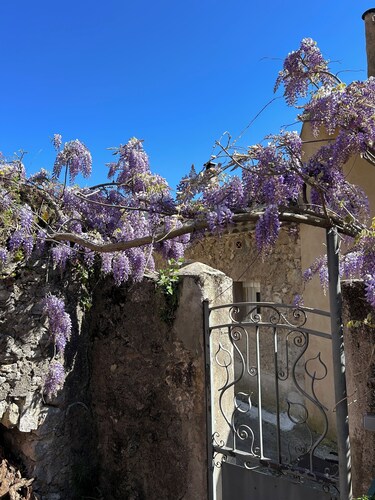 Maison de charme vue directe sur Sainte Victoire et le château de Picasso .