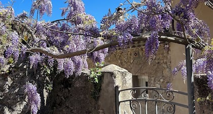 Maison de charme vue directe sur Sainte Victoire et le chĂąteau de Picasso .
