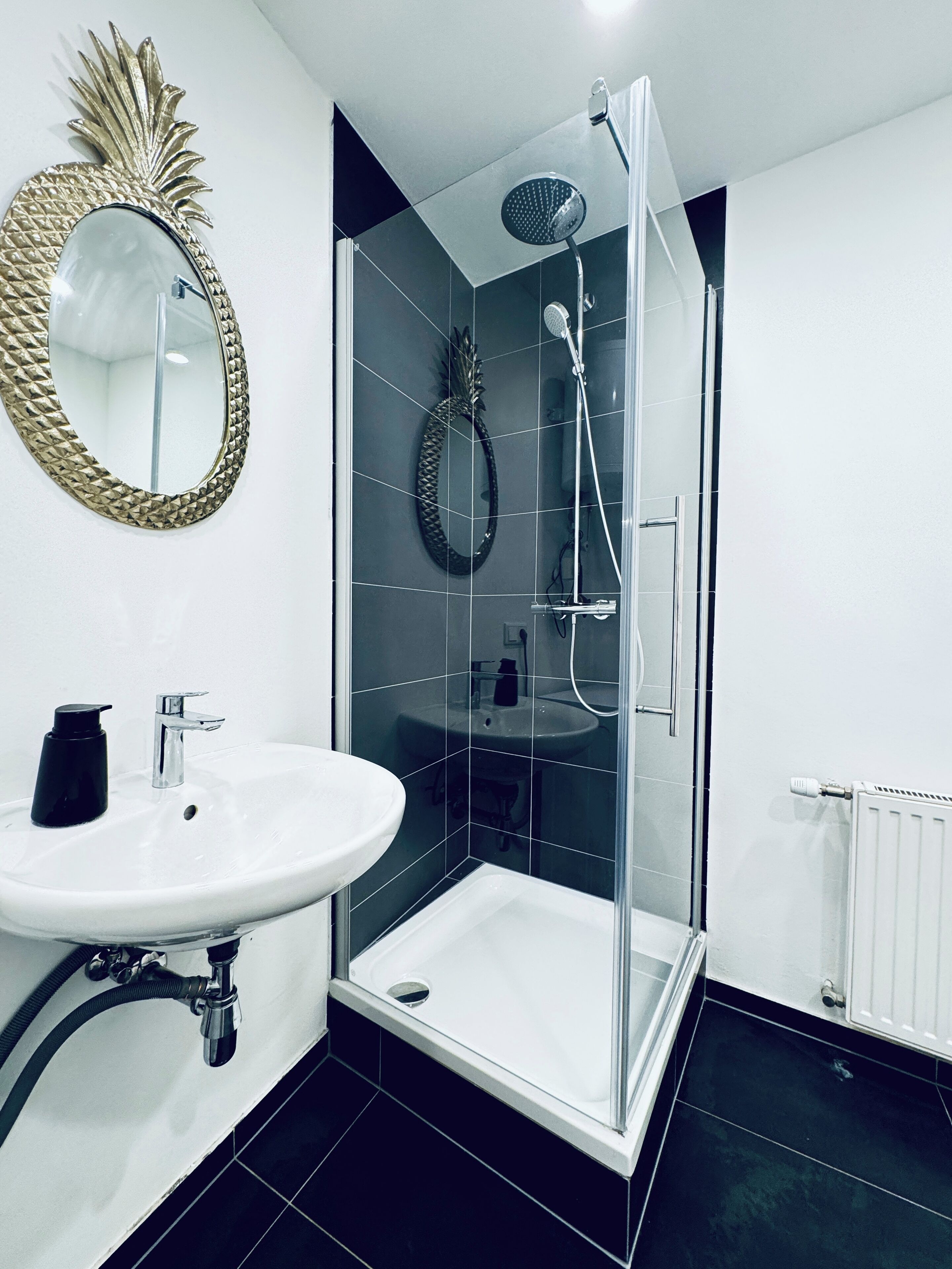 Basic-Apartment | Badezimmer | Dusche, kostenlose Toilettenartikel, Haartrockner, Handtücher
