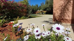 A garden with white flowers and a clear blue sky. - Villa Zeitouna (Ourika)