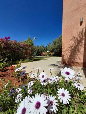 家庭別墅, 庭院, 花園景觀 | 花園景