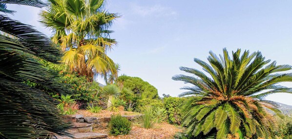 Property grounds - Apartment with private garden in Pramousquier, pets allowed (Le Lavandou)
