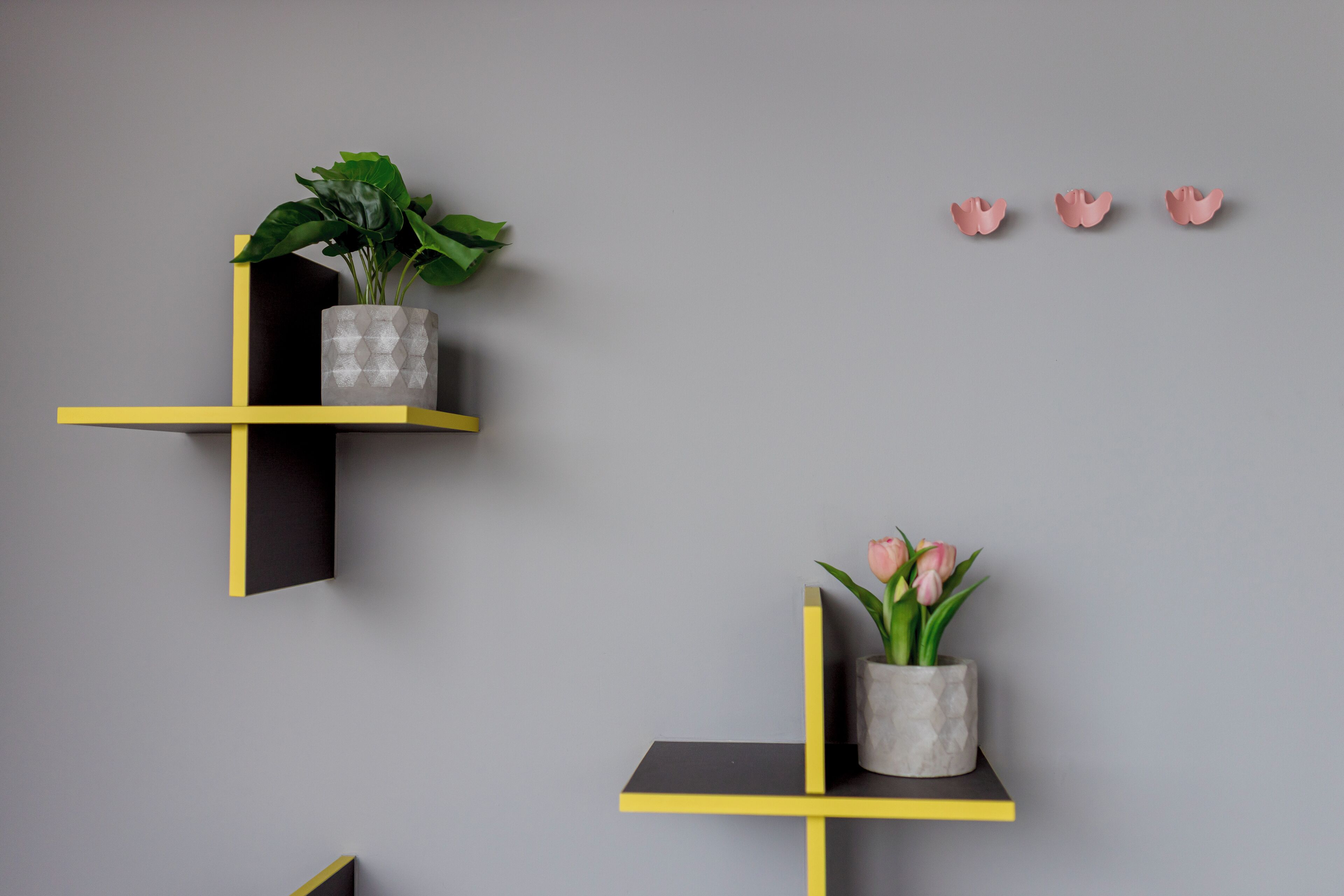 A wall with three yellow floating shelves, each holding a plant.