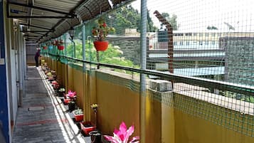 Standard Double Room | Exterior