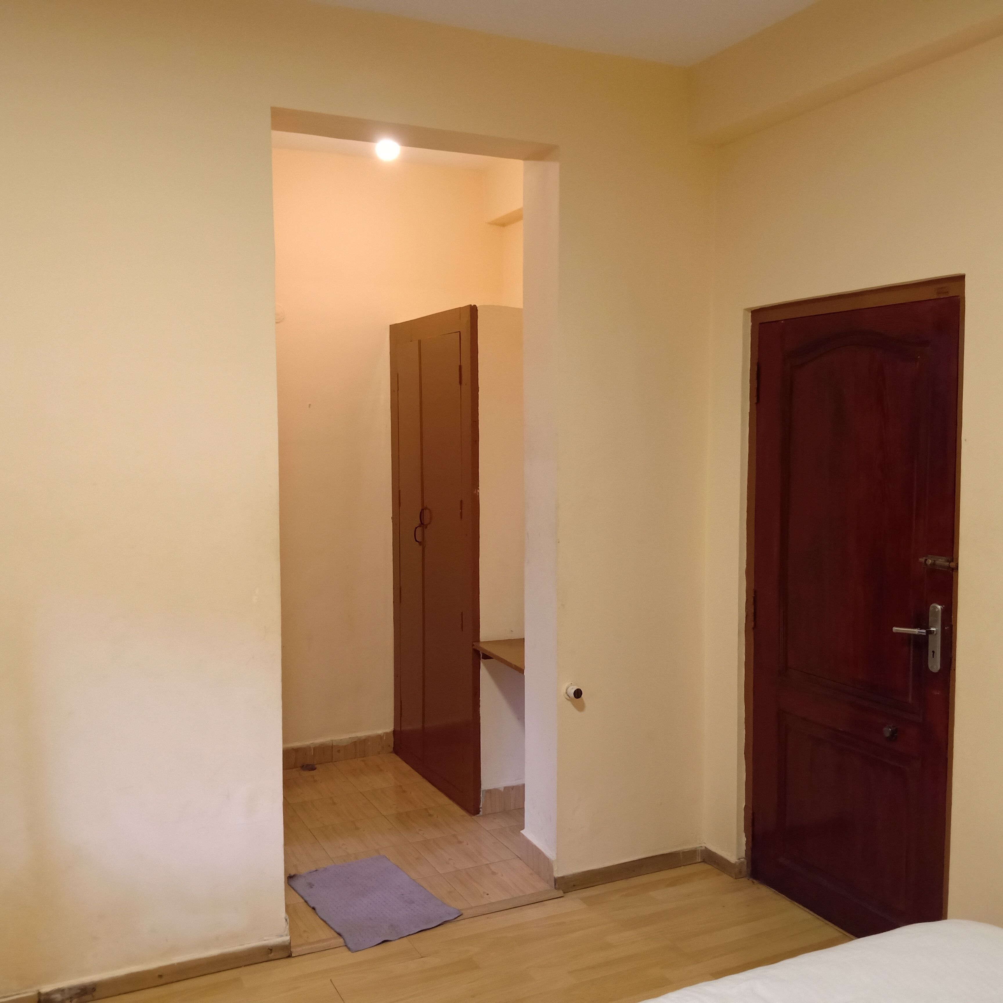 Una habitación con suelo de madera, una cama, una puerta y un pequeño tapete.