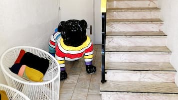 Entrada (vista interna)