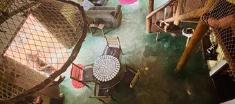 A rustic and charming chalet nestled among centuries-old Jatobá trees!