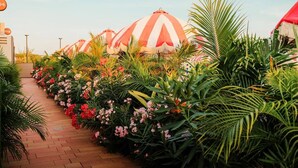 A pathway lined with striped umbrellas and lush greenery. - 1 BDRM Suite for Any Budget, Private In-Suite Plunge Pool, Near Eagle Beach (Oranjestad)