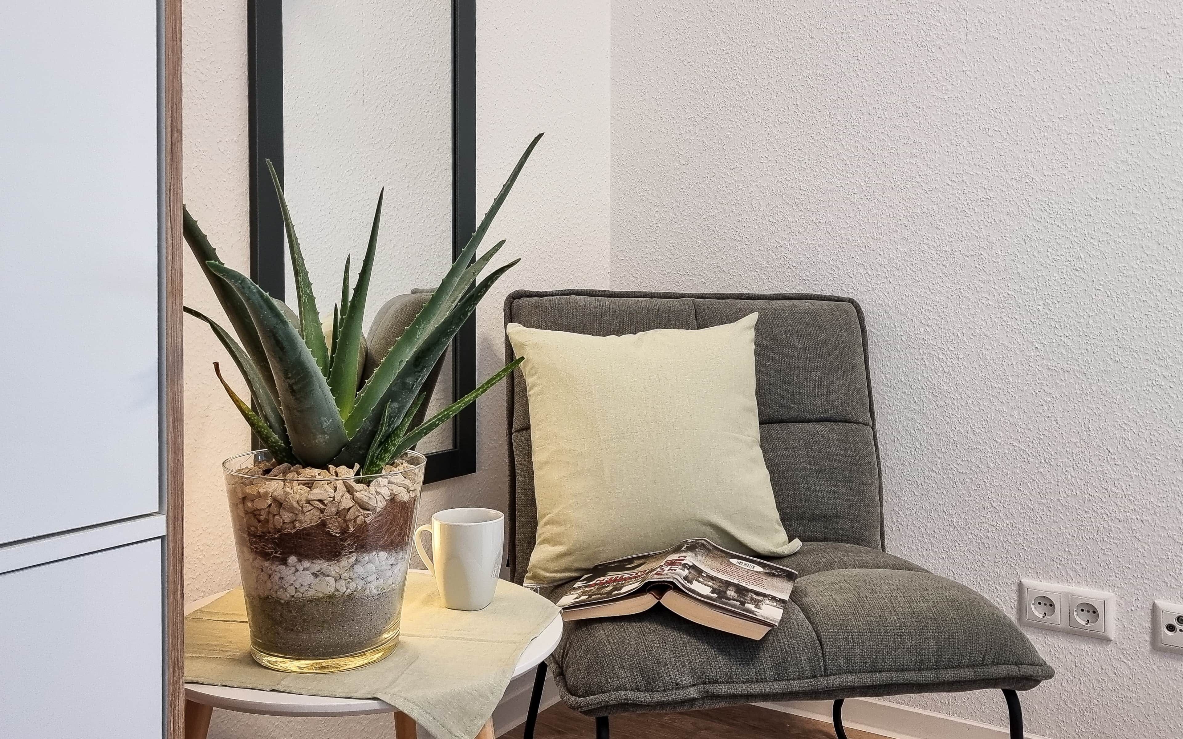 Ein Stuhl mit Kissen, eine Glasvase mit Aloe Vera Pflanzen und eine Zeitschrift auf einem kleinen Tisch.