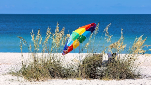 Een strand met een kleurrijke parasol en hoge grassen op de voorgrond.
