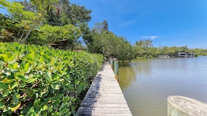 Un muelle de madera bordea una masa de agua tranquila, rodeado de abundante vegetación y árboles.