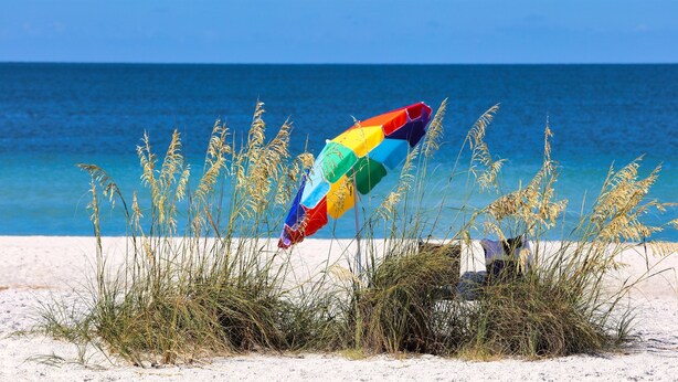 Una playa con un paraguas colorido y hierbas altas en primer plano.