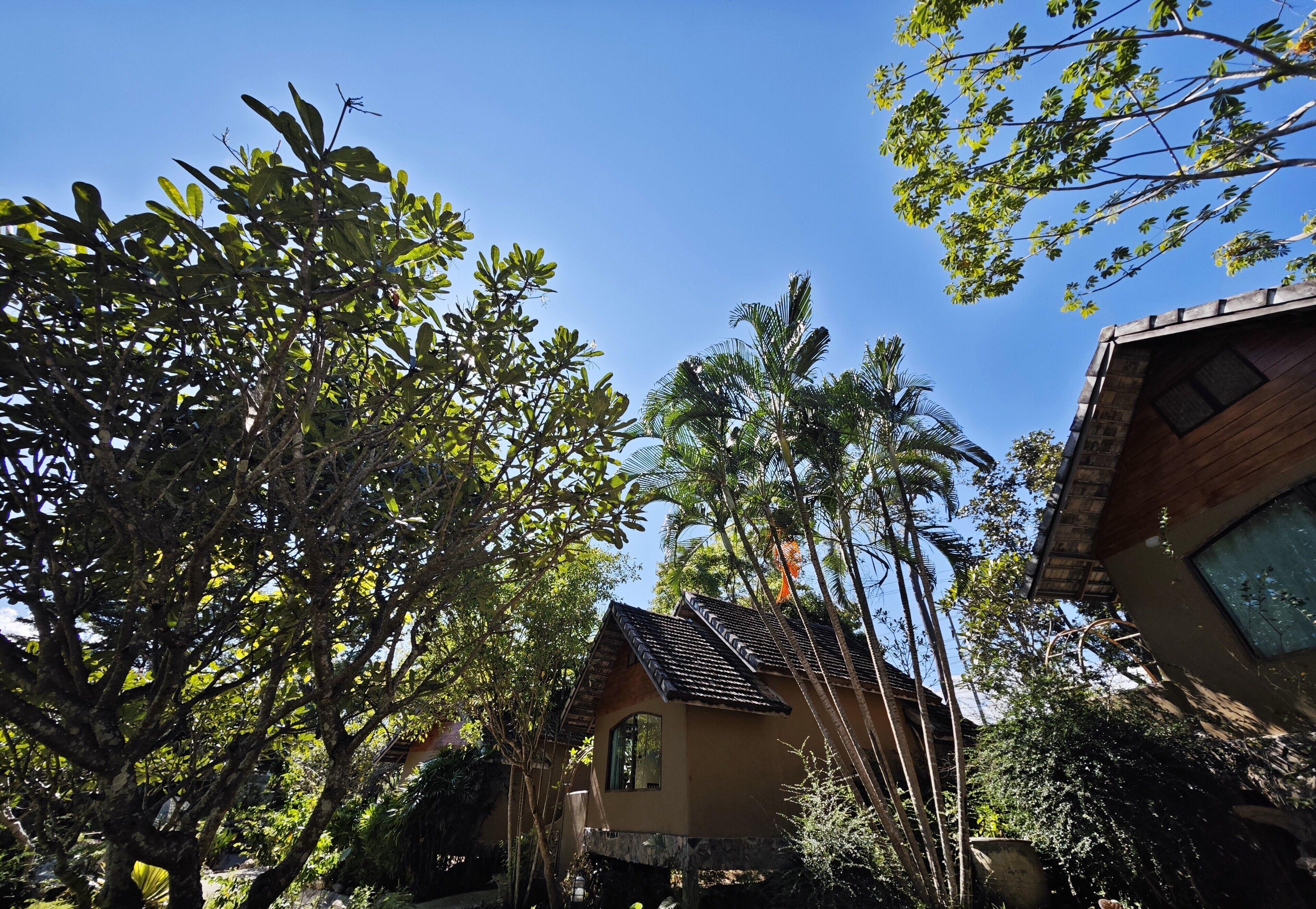 Deluxe Double or Twin Room, Non Smoking, Garden View | Desk, laptop workspace, free WiFi