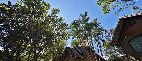 Escritorio, espacio para trabajar con laptop y wifi gratis