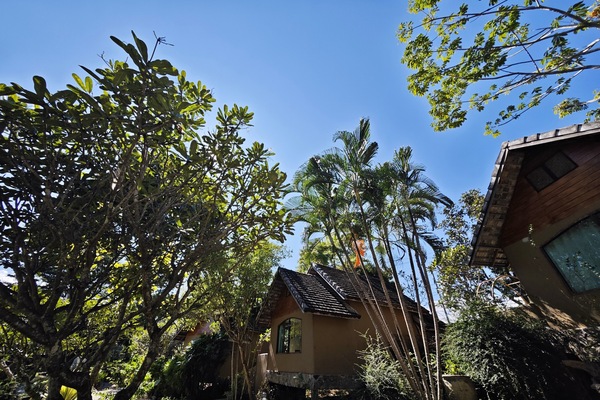 Deluxe kamer, 1 twee- of 2 eenpersoonsbedden, niet-roken, uitzicht op tuin | Een bureau, een laptopwerkplek, gratis wifi