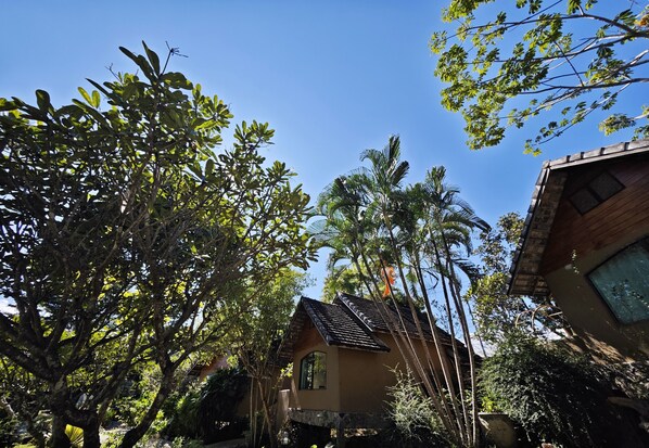 Deluxe-Doppel- oder -Zweibettzimmer, Nichtraucher, Gartenblick