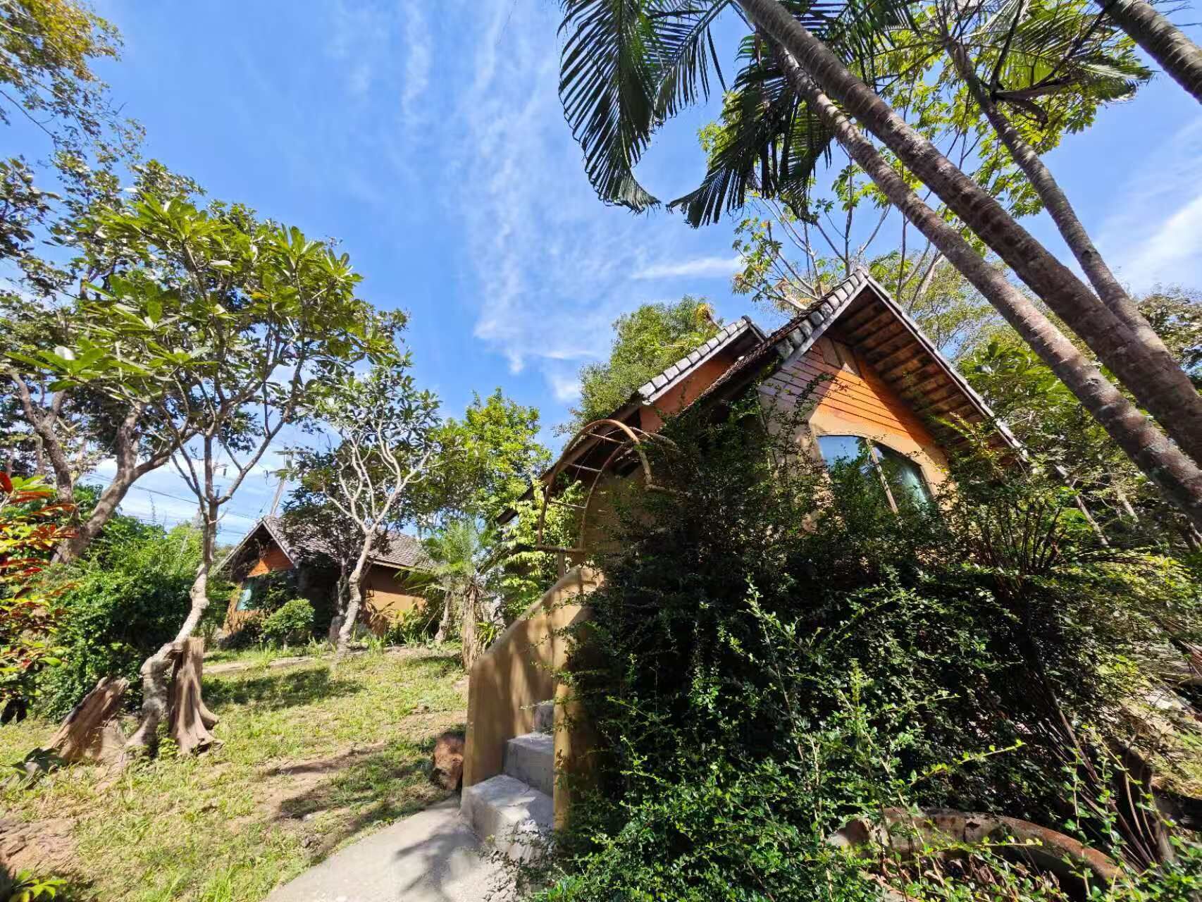 Suite estudio Deluxe, para no fumadores, vista a la montaña | Escritorio, espacio para trabajar con laptop y wifi gratis 