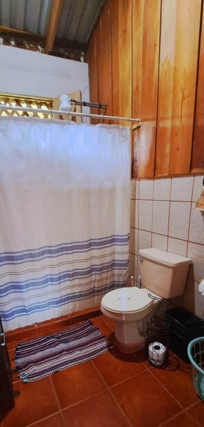 Een douche, handdoeken, zeep, toiletpapier