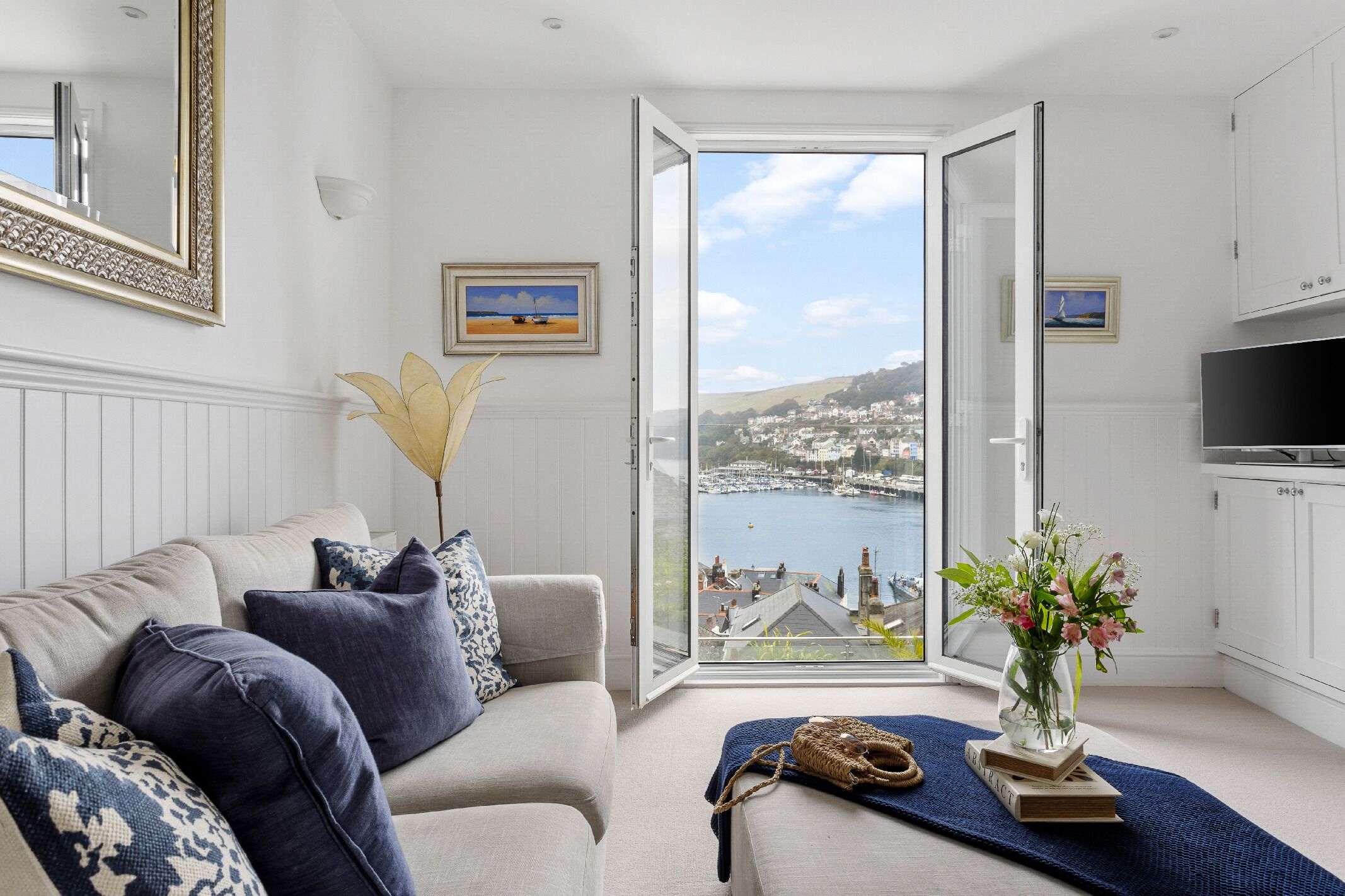 Smart TV, DVD player