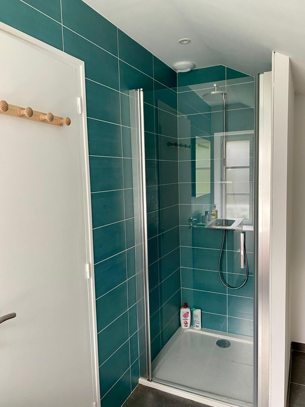 Shower, hair dryer, soap, toilet paper