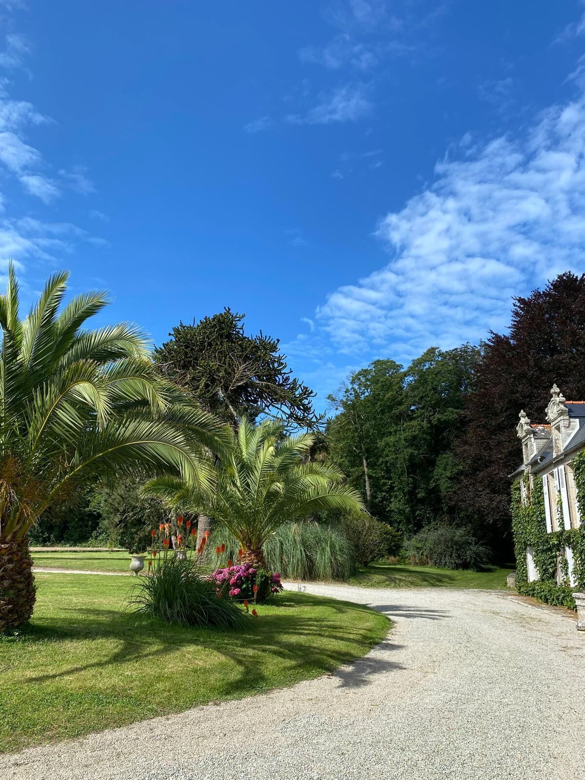 Área da propriedade