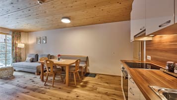 Apartment, Mountain View