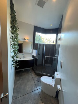 Hårtørrer, håndklæder, Sæbe, Toiletpapir