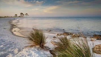 Plage à proximité, chaises longues, serviettes de plage
